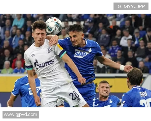 霍芬海姆主场击败门兴，保级或起航的曙光